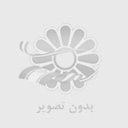 تخلیه با لیفتراک -  تخلیه بار تریلی با لیفتراک
